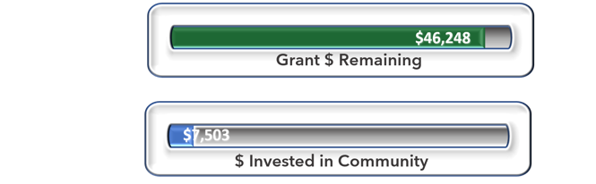 FIP grant remaining $46248