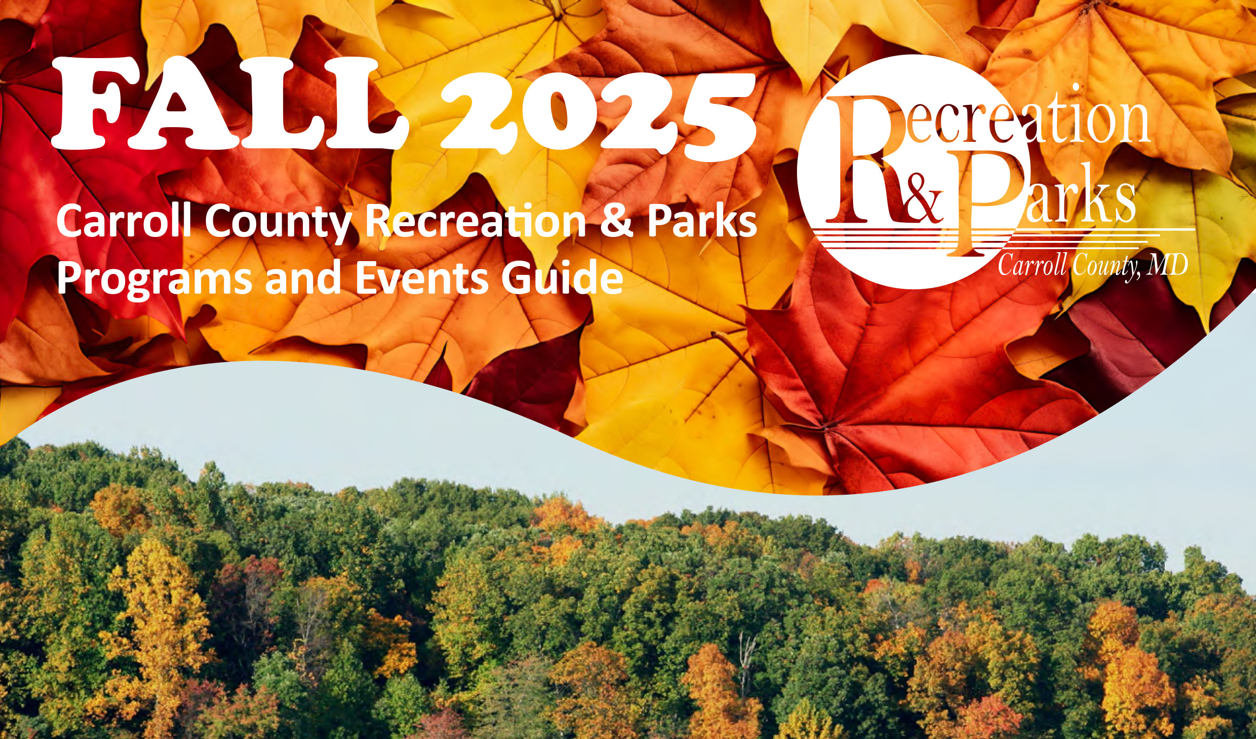 Program Registration